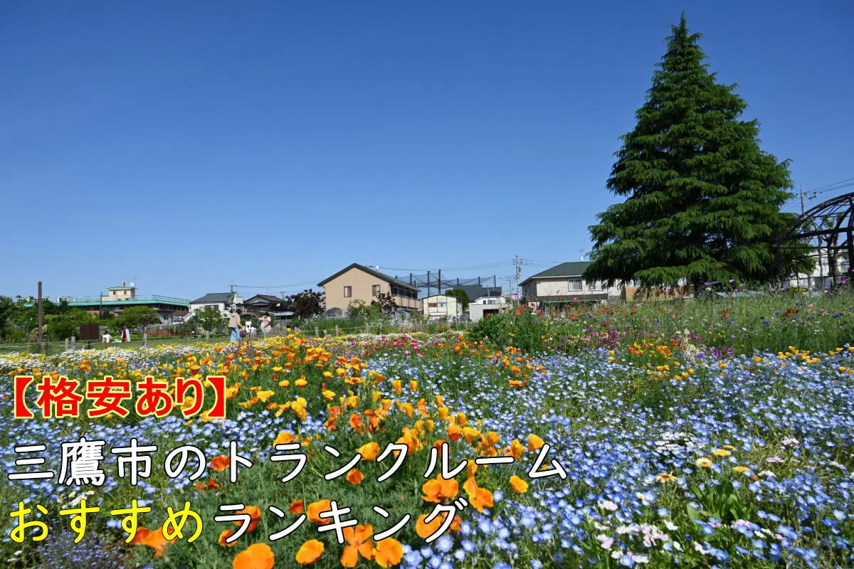 【格安あり】三鷹市のトランクルームおすすめランキングTOP7