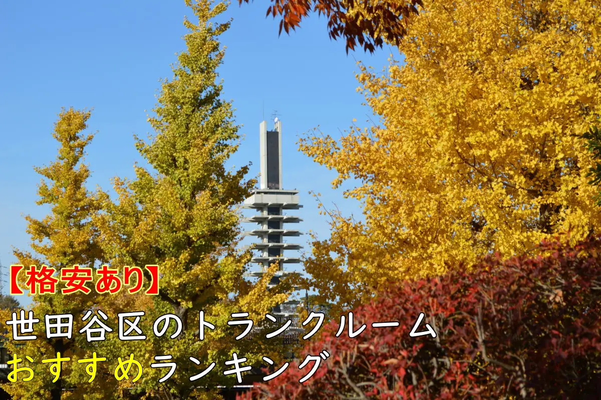 世田谷区の【おすすめ】トランクルーム11選！格安あり
